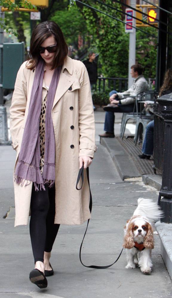with Neal the dog