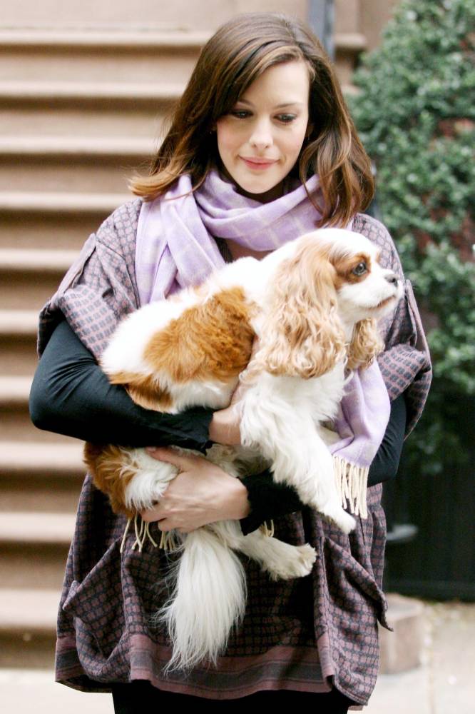 with Neal the dog