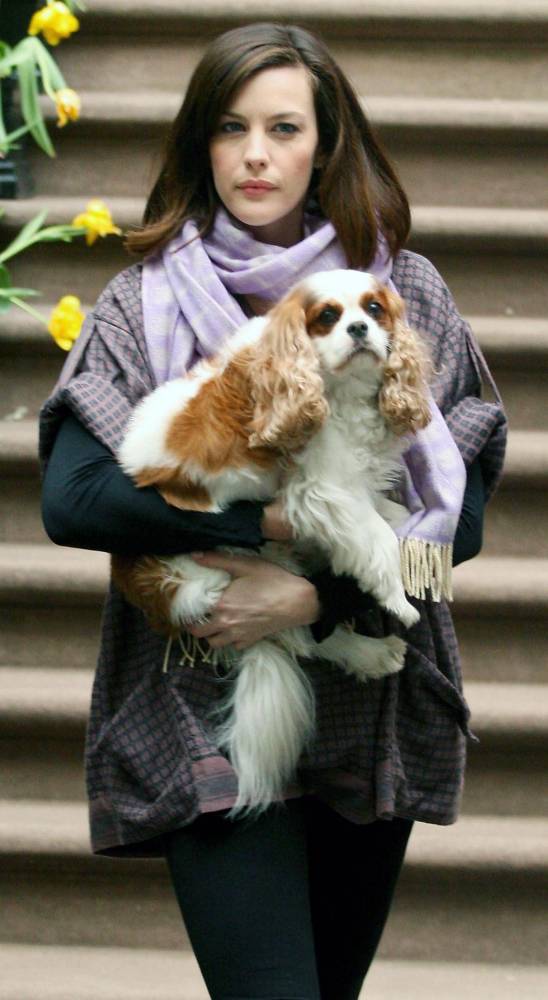with Neal the dog