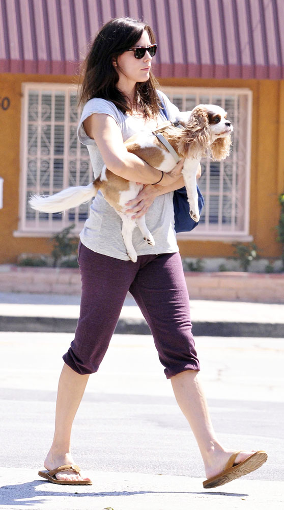 with Neal the dog