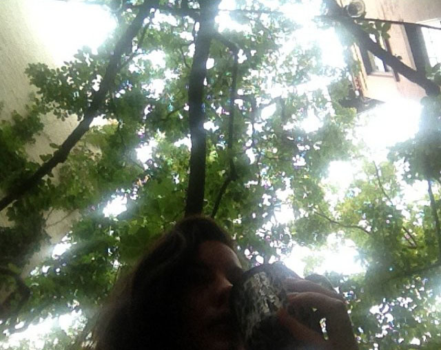 "Soon this tree will be naked again. She does that some times..."