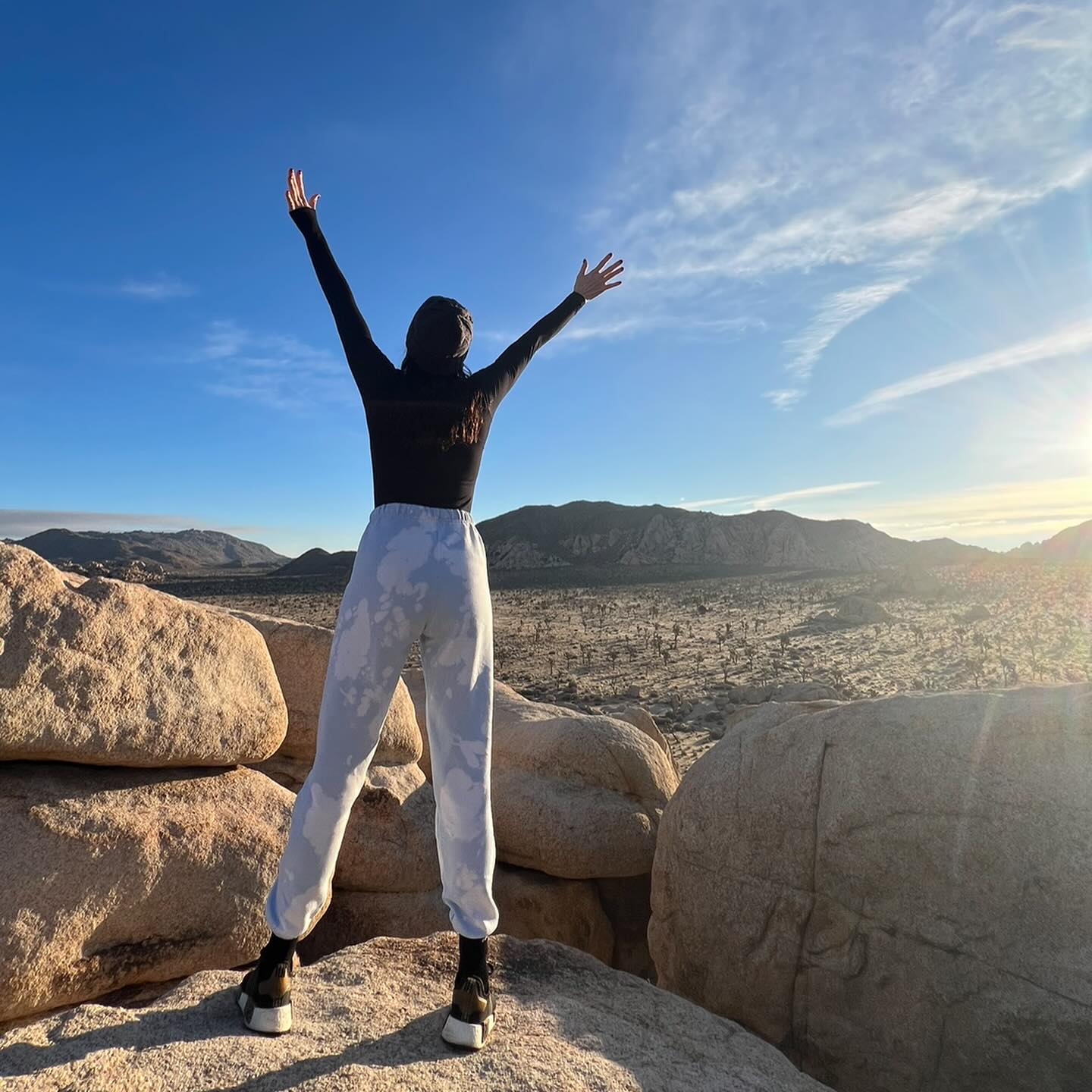 Joshua Tree National Park