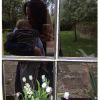 "English country days"